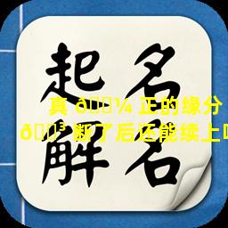 真 🐼 正的缘分 🌳 断了后还能续上吗